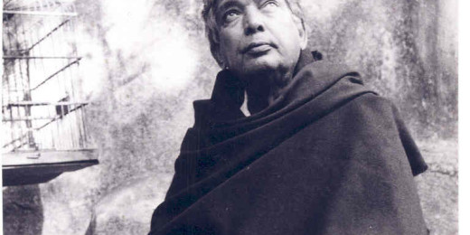 Tribute – Poetry, Politics And Desire – by Anjum Hasan
